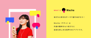 wacha　レビュー