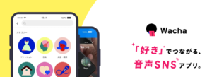 wacha　レビュー